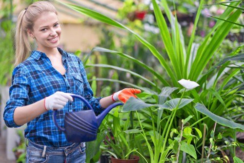 Illustration of a garden scene and cookie icon for Gardening Heston introduction