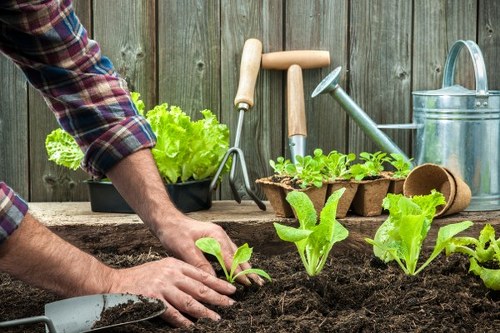 Volunteer demonstrating tactile plant labels at a Heston garden